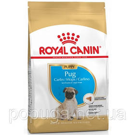 Royal Canin Pug Puppy корм для мопсу, 1,5 кг