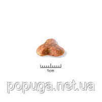 Royal Canin Pug Puppy корм для мопсу, 1,5 кг, фото 2