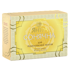 Янтра сонячна (підшлункова залоза)