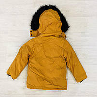 Куртки з хутром для хлопчика оптом, Seagull, 4-12 років, арт. CSQ-65121, фото 7