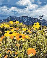 Картина за номерами Art Story Весна в горах 40x50 см у коробці (AS 0865)