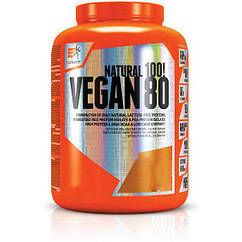 Рослинний протеїн Extrifit Vegan 80 1000 грам Горіх