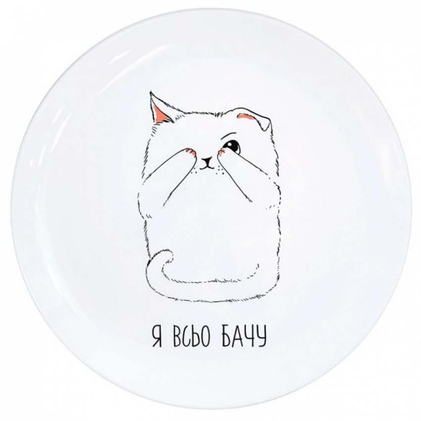 Тарілка KVARTA d-25 см "Я всьо бачу" 1203, фото 1