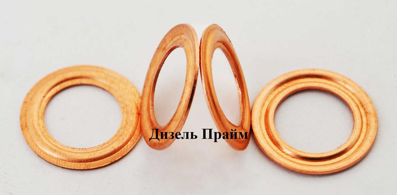 Шайби під форсунки; 9х15-0,9 мм; форсунка КамАЗ; МАЗ; 100 штук. 312471-П;