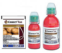 Свіжі надходження протруйника Селест Топ.