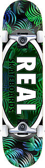 Скейт Компліт REAL TEAM TROPIC ОВАЛІВ II LG 8.0