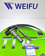 Плунжерная пара 2 418 455 511 WEIFU DAF