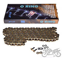 Приводная цепь для мотоцикла золотистая IRIS 428, кольцо 124L, IR428OR124G