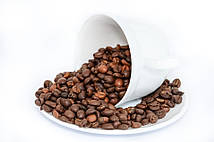 Кава в зернах Чисті ботанічні сорти Арабіка ТМ Амадео Колумбія Ексельсо 1 кг, фото 3