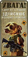Металлическая табличка / постер "Увага! У Дворі Пес Цілодобово Здійснює Відеоспостереження!" 15x30см