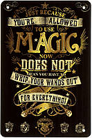 Металлическая табличка / постер "Гарри Поттер (Магия) / Harry Potter (Magic)" 20x30см (ms-003073)