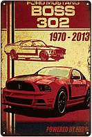 Металлическая табличка / постер "Ford Mustang Boss 302 (1970-2013)" 20x30см (ms-003141)