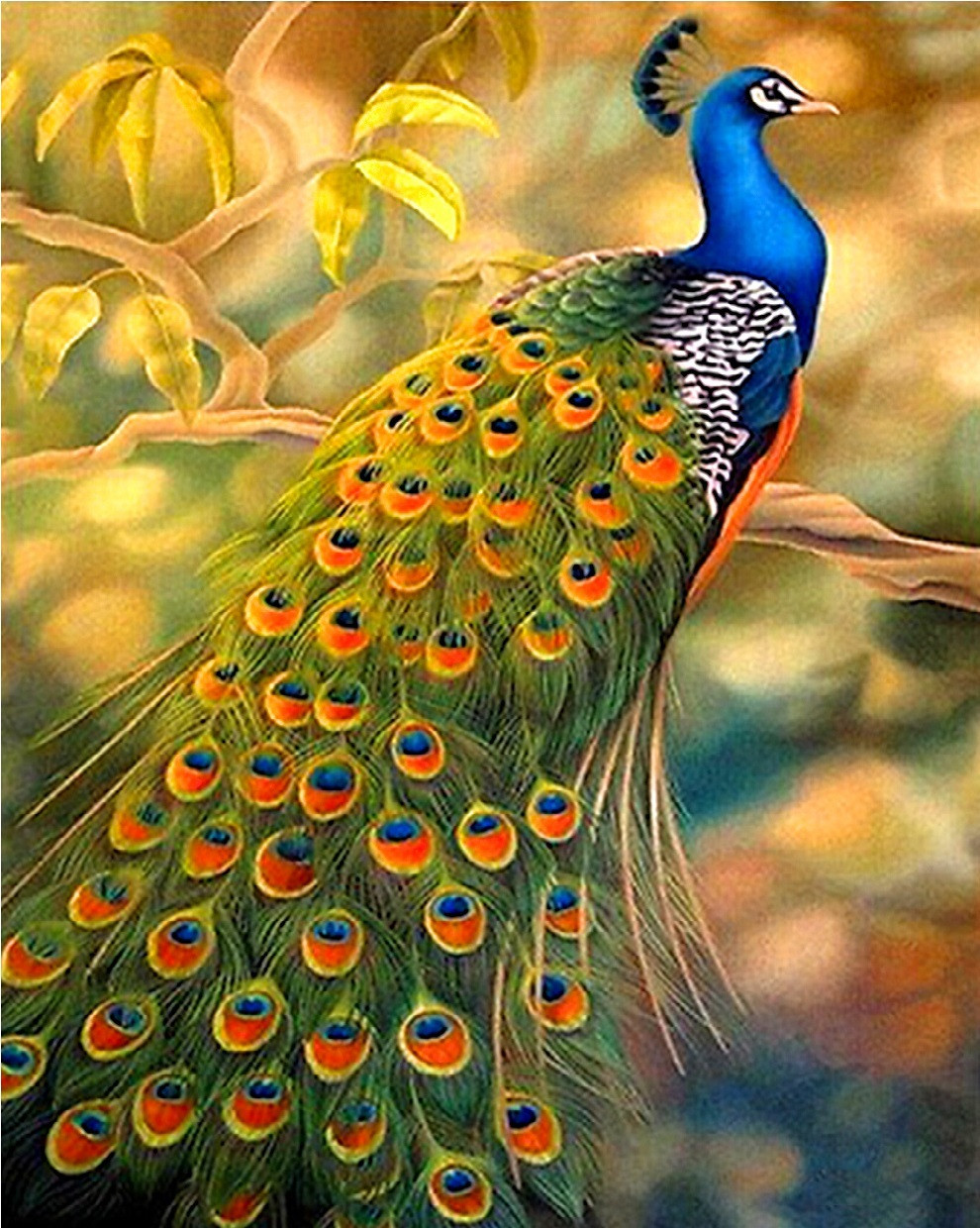 Алмазна техніка Чарівний павич My-Art TN1042 (40 x 50 см) на підрамнику, фото 1