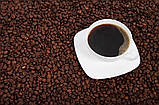 Кава в зернах Арабіка Чисті ботанічні сорти Марагоджип Гватемала 1 кг ТМ Амадео, фото 5