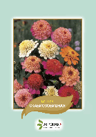 Насіння квітів Цинія Скабіозовидна Агропак плюс