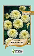 Насіння квітів Цинія Ліліпутек біла 0,2г. Агропак плюс