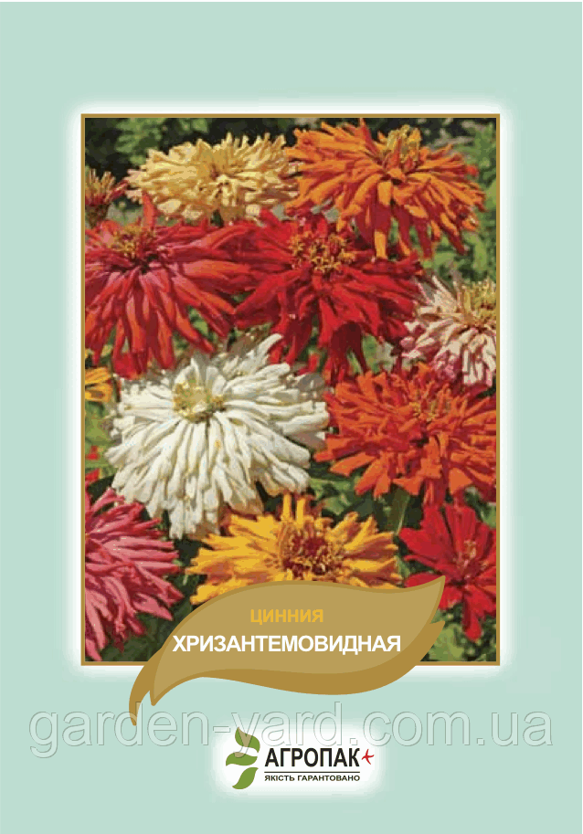 Насіння квітів Цинія Хризантемовидна Агропак плюс