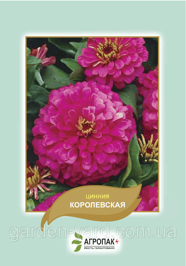 Насіння квітів Цинія Королівська Агропак плюс