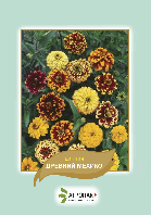 Насіння квітів цинія Древній  Мехіко  Агропак плюс