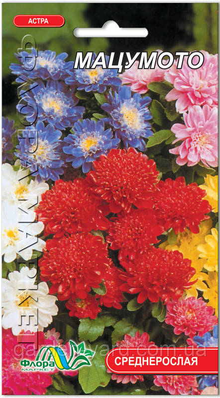 Насіння квітів Астра Мацумото Флора маркет