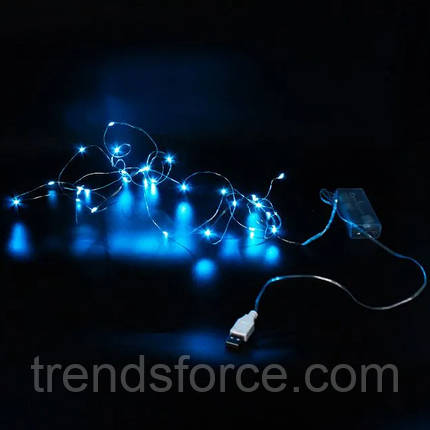 Гірлянда Xmas 30 Led 3M Copper на мідному дроті Крапля роси Blue Batteryusb 198177, фото 1