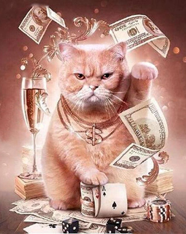 Алмазна мозаїка Грошовий котик My-Art TNG012 (40 x 50 см) + стрази АБ+FD на підрамнику, фото 1