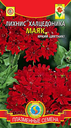 Насіння Ліхніс Маяк 0,1 грама Агроніка, фото 1