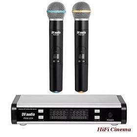 Радіосистема DV Audio PGX-224 MK2 з двома ручними мікрофонами в пластиковому корпусі, UHF