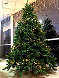 Сосна 4,25 м Scandia зелена, фото 2