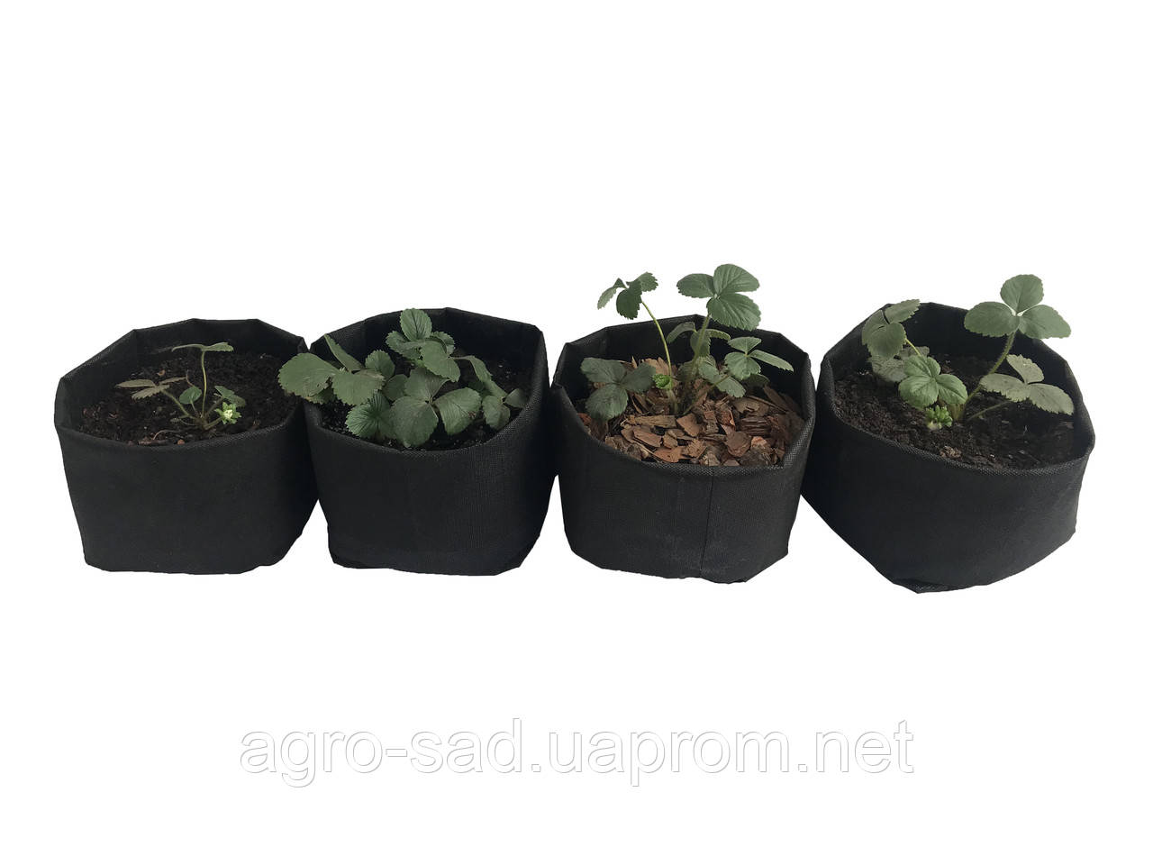 Grow Bag 3,5 литра Тканевый горшок / контейнер для растений (плотность 70 г/м2) - фото 4 - id-p1466982136