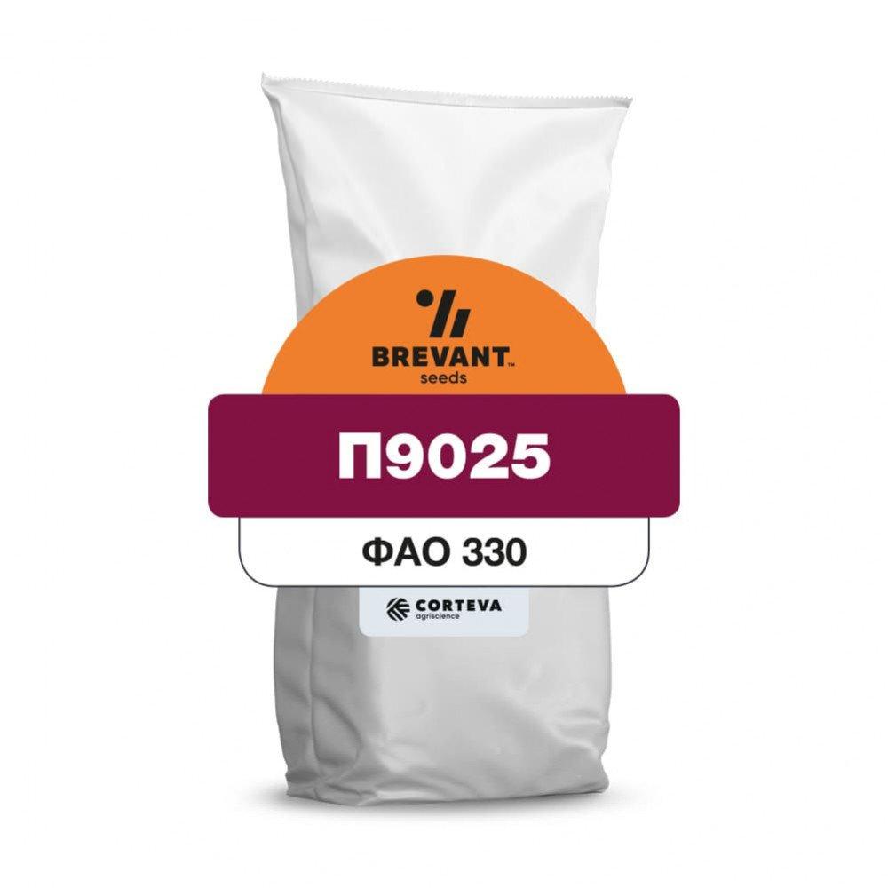 Насіння кукурудзи П9025/ P9025 ФАО 330