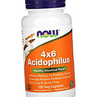 Лактобактерії NOW Foods 4x6 Acidophilus 120 капс