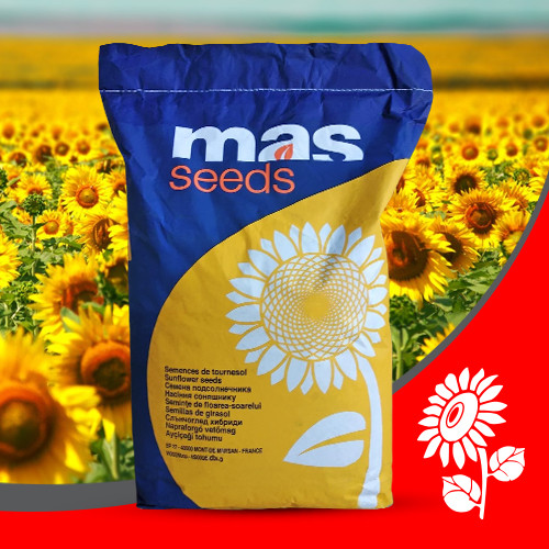 Насіння соняшнику SULFONOR MAS Seeds посівний гібрид МАС Сульфонор, фото 1