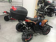 Електроквадроцикл CRAFTER TURBO 48 V 1000 W, знімний бокс, LED передні фари, фото 2