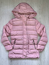 Куртки зимові на дівчаток оптом, Nature, у наявності 6 рр. арт. RSG-5527, фото 2