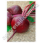 Буряк Бордо 237 500 г GSN Semences, фото 2