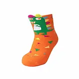 Дитячі шкарпетки махрові - Дюна р. 10-12 (шкарпетки дитячі зимові махрові, Duna) 4046-2580-оранжевий, фото 3