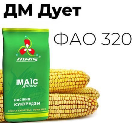 Насіння кукурудзи ДМ Дует ФАО 320 МАЇС Дніпро