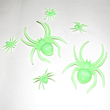 Набір 6 шт. павуків фосфор для декору на хеллоуїн 36753, фото 2