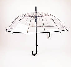 Прозора парасолька з чорною облямівкою на 16 спиць