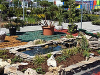 Cтворення декоративного ставка у Львівському Епіцентрі.