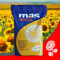 Семена подсолнечника MAS 86.OL (MAS Seeds) МАС 86 ОЛ Высокоолейновый