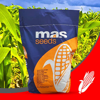 Насіння кукурудзи MAS 34.B