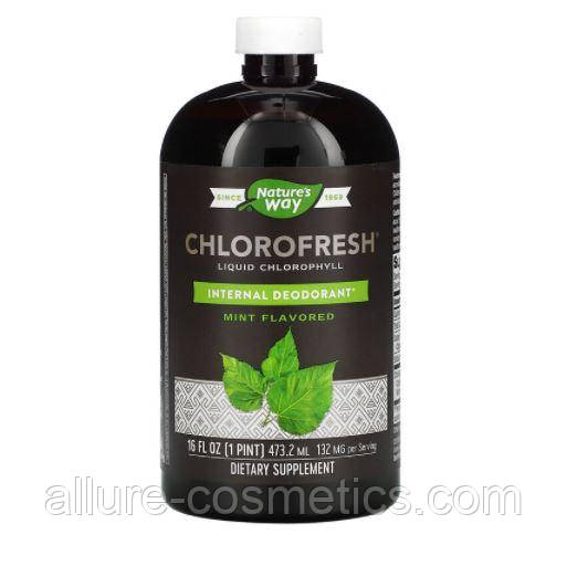 Рідкий хлорофіл з ароматом м'яти Nature's way Chlorofresh 480 мл