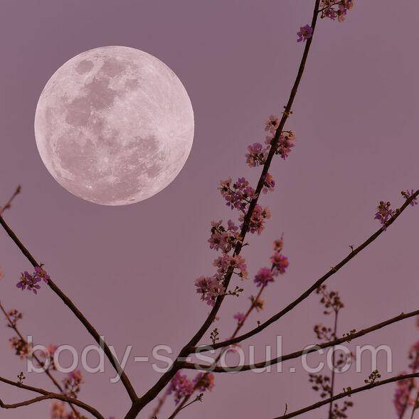 Violet Moondance, про-ль США (Brambleberry), ваніль 0%