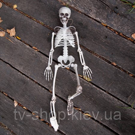 Скелет людини 90 см декор, фото 1