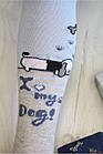 ОПТОМ Колготки "My Dog" для хлопчика 0-6 міс. (52-62 / 0-3 мес.)  Arti 8680652566653, фото 3