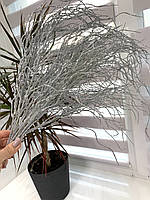 Кущ для декору в сріблі ( осока хвиляста в сріблі 50 см , кущ на 12 гілочок ), фото 4