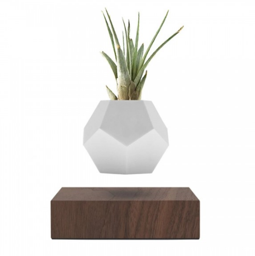 Левітуючий вазон "FLYTE Planter", горіх, фото 1
