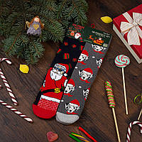 Новогодние носки подарочные с принтом "Далматинцы+Санта" теплые (2 пары в упаковке, размер 36-41)